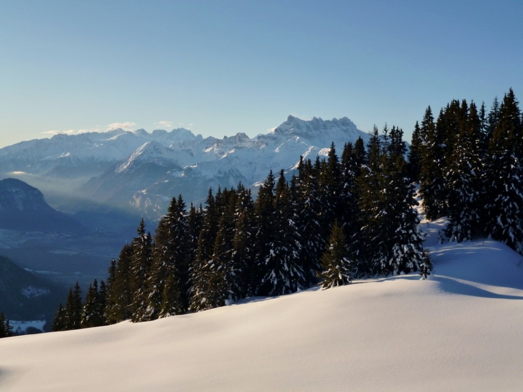 Matin paisible à Solacyre