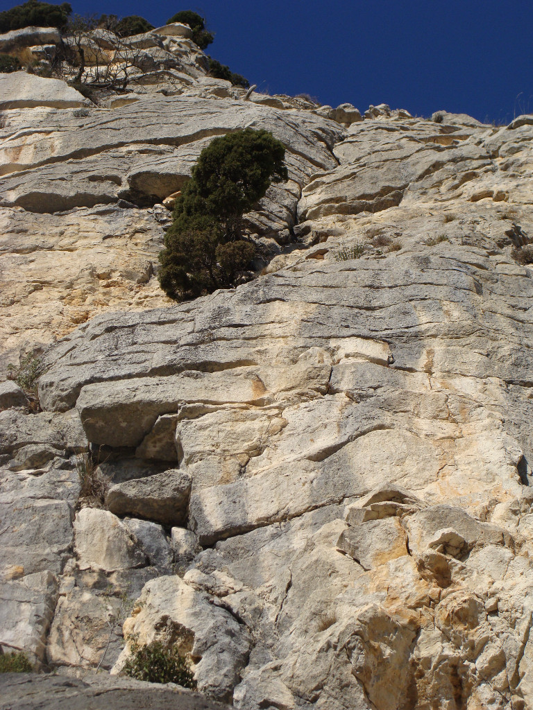 Le passage "clé de la voie" juste au dessus de l'arbre.