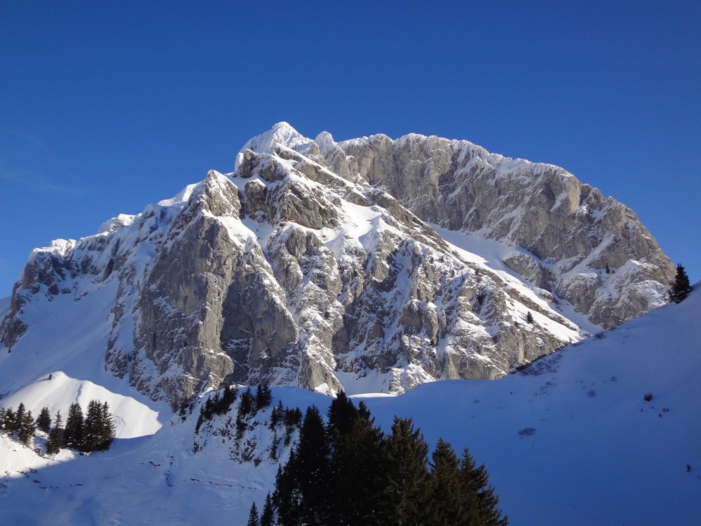 Majestueuses Cornettes de Bise