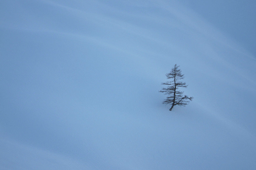 Solitude hivernale