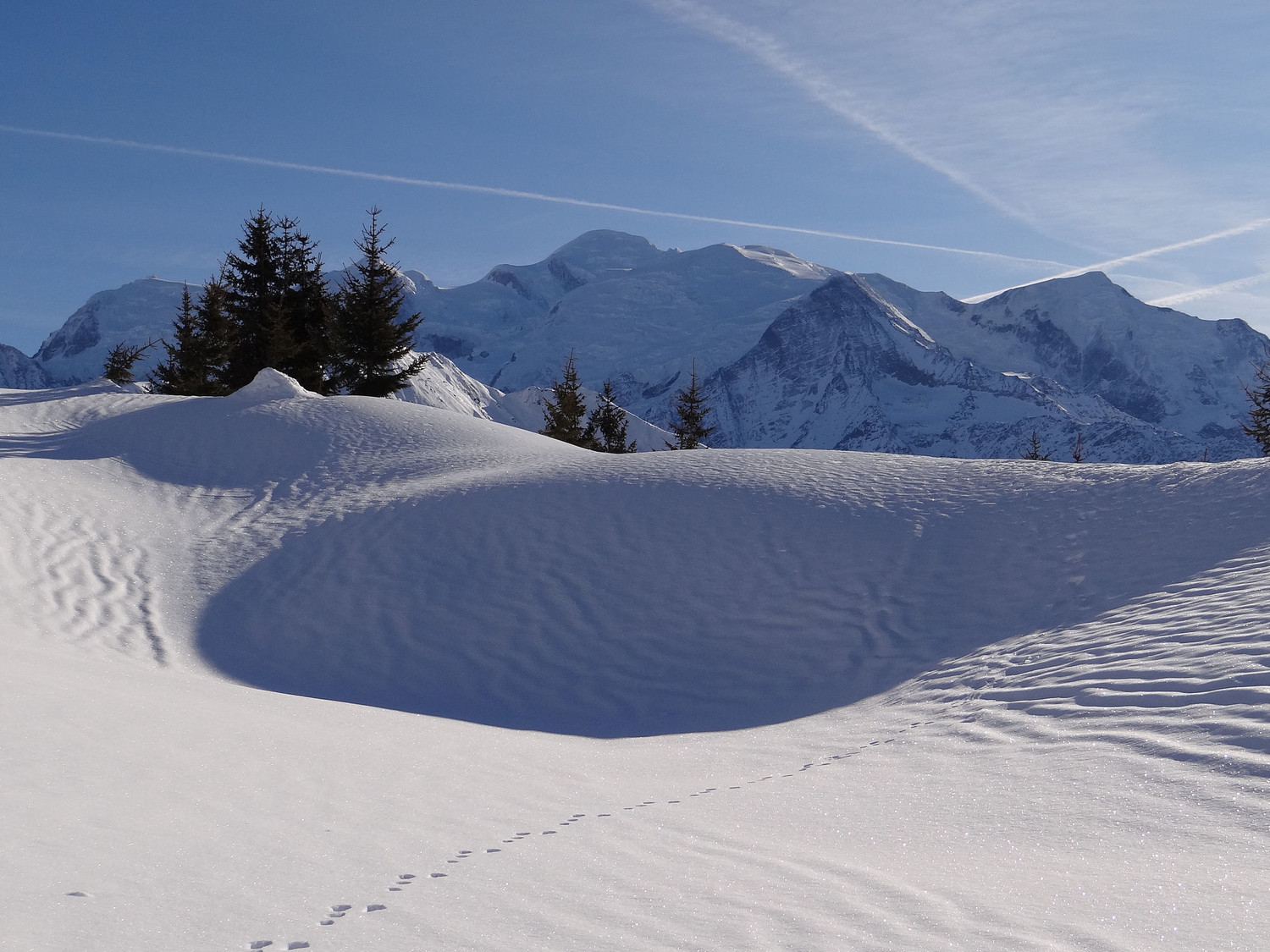 Carte postale