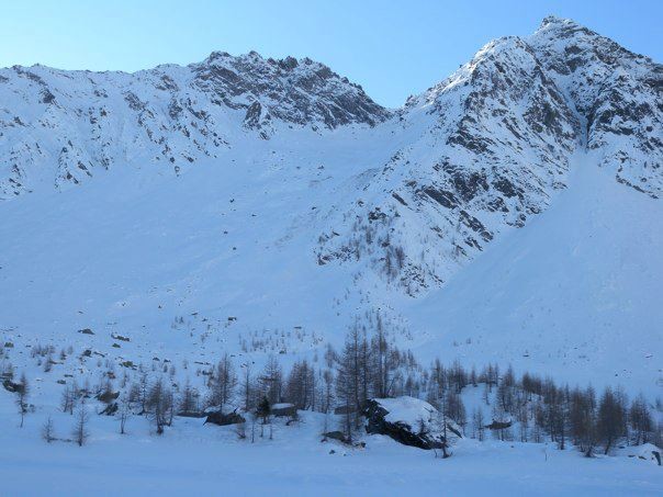 Grauhorn dalla conca di gala-Berr