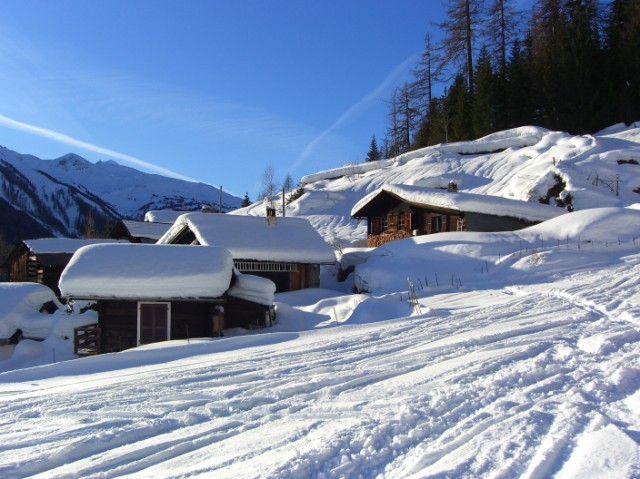 Bel oiseau - beaux chalets