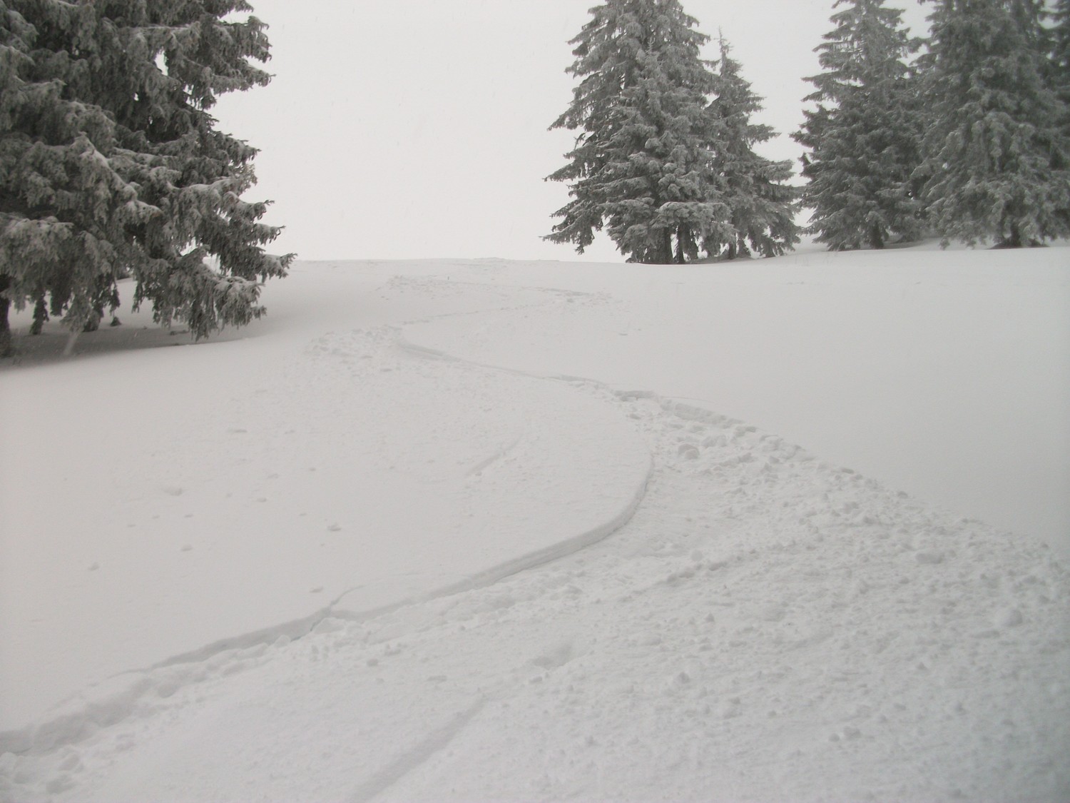 bien agréable à skier dans ce coin