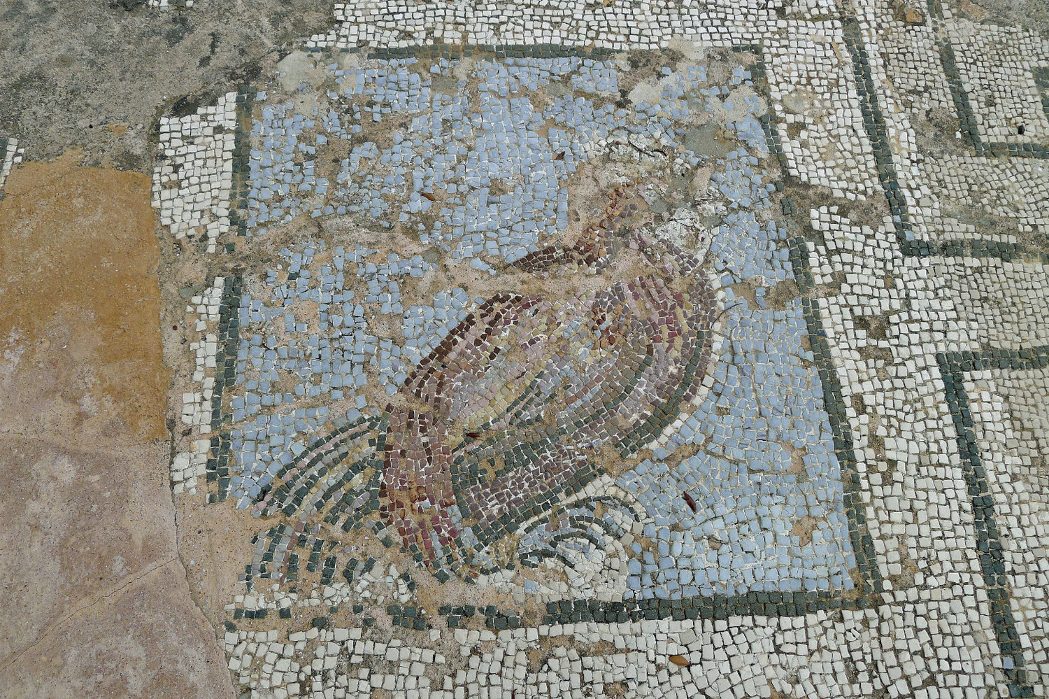Lissos