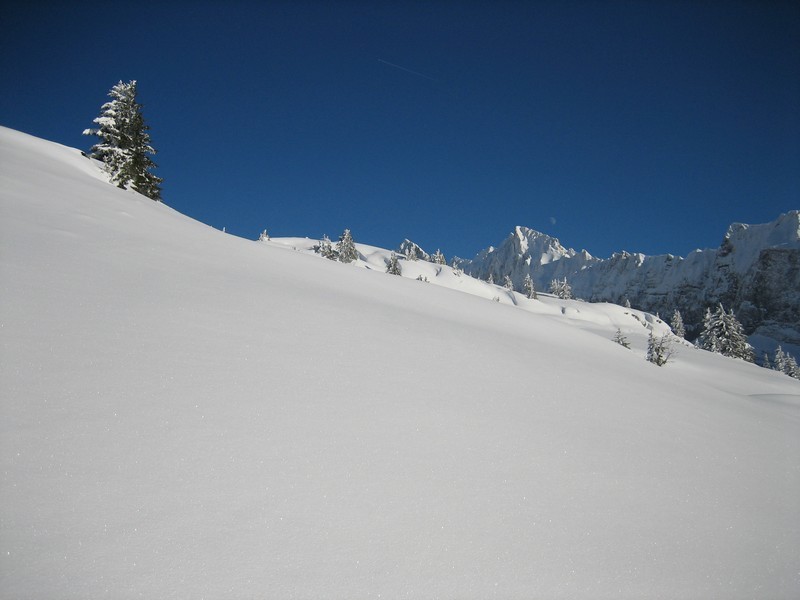 Immaculée