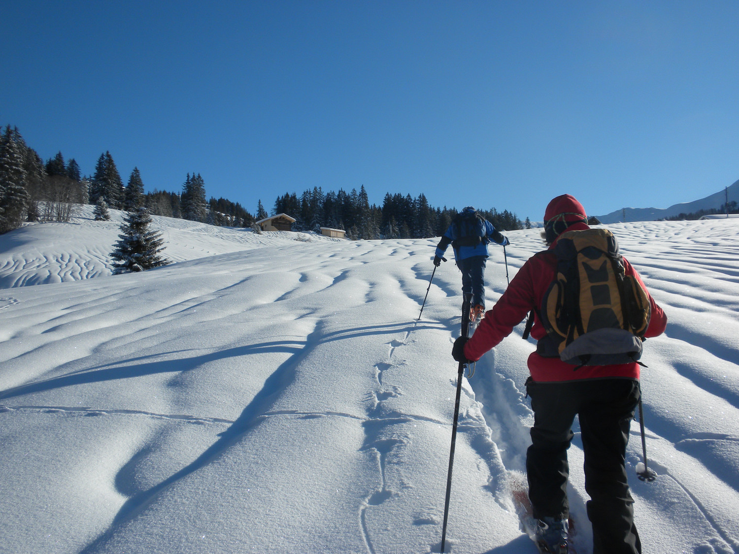 Montée au Trütlisberg