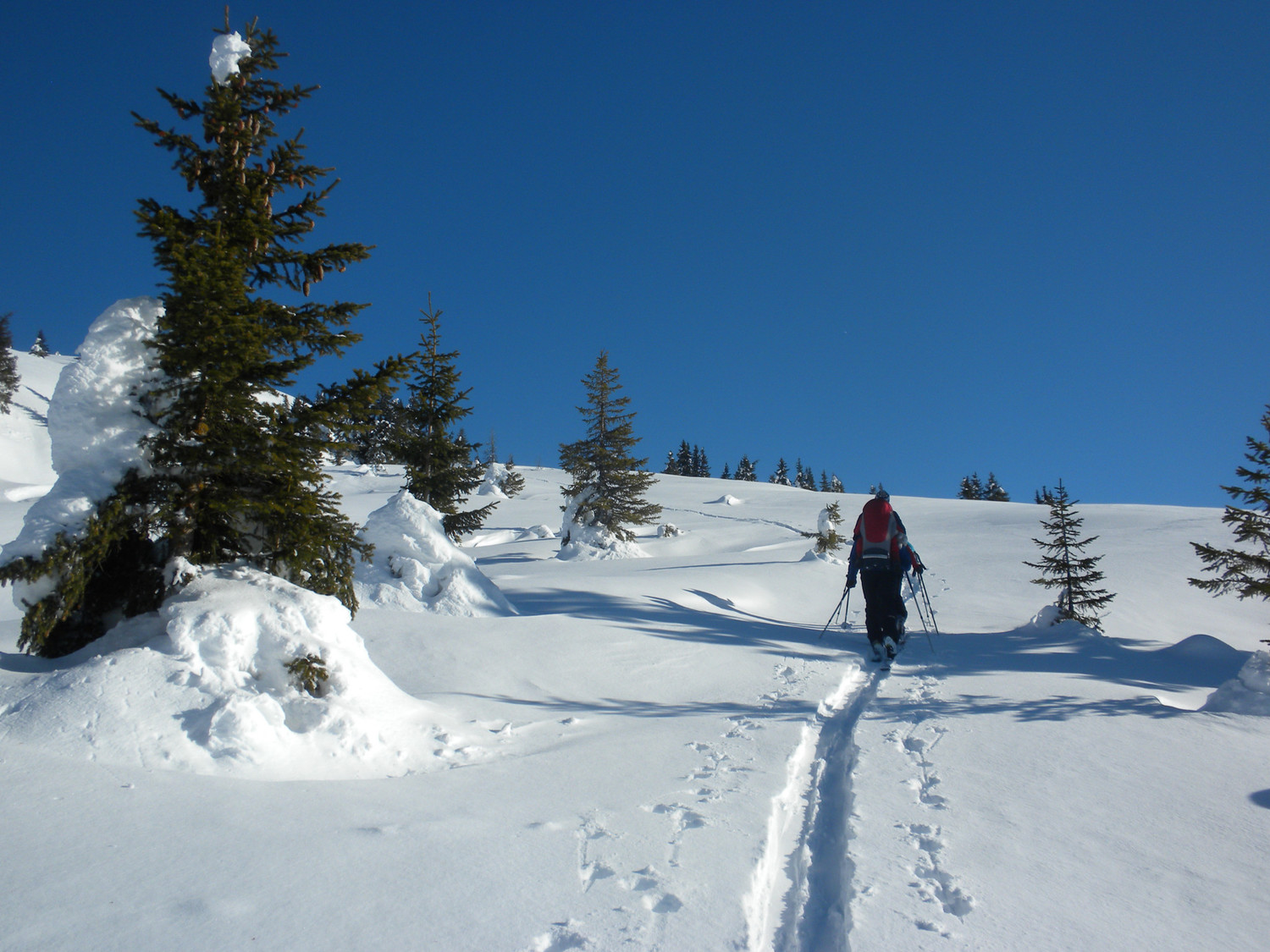 Montée au Trütlisberg