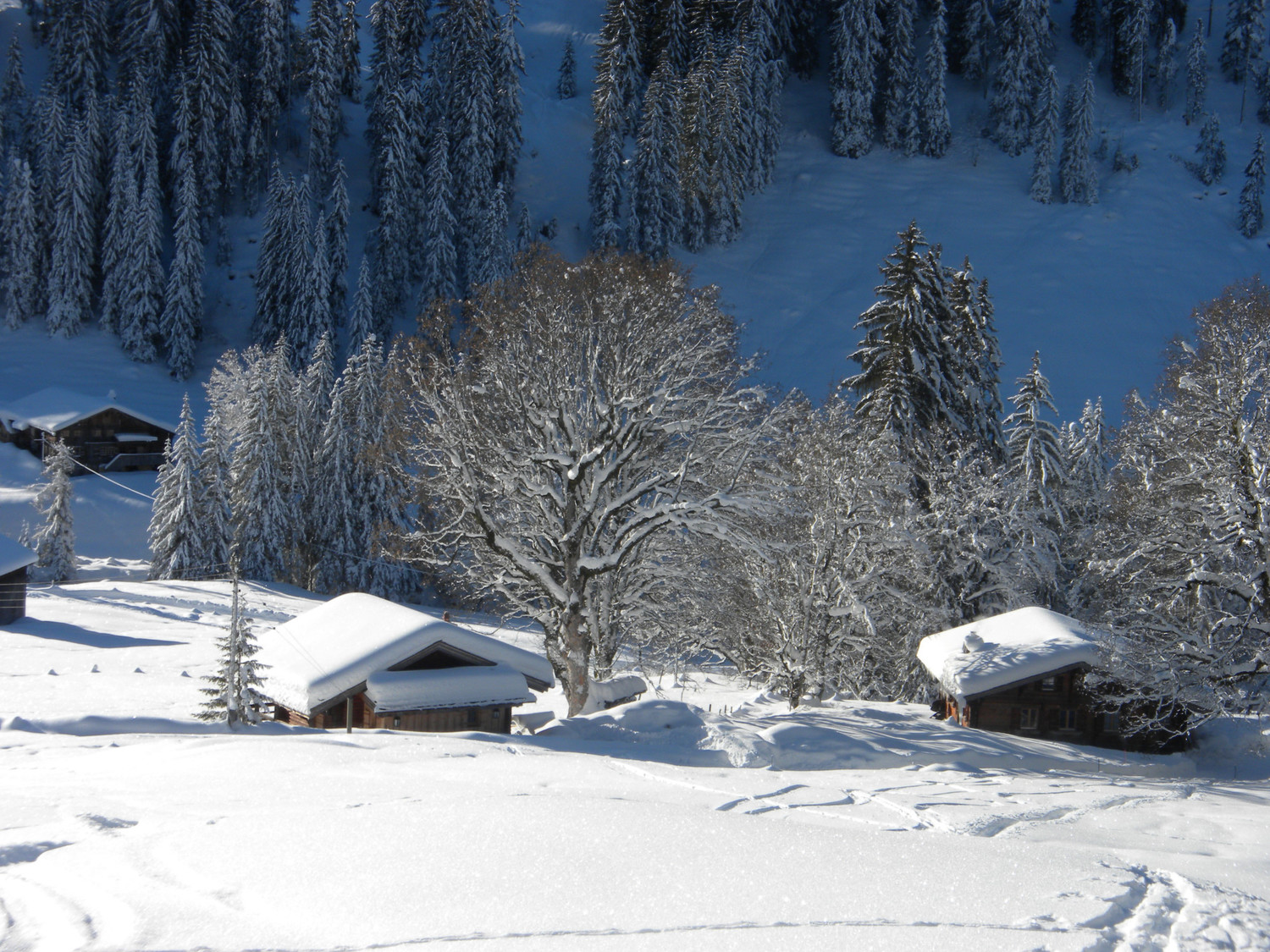 Hameau de Statt au Turbachtal
