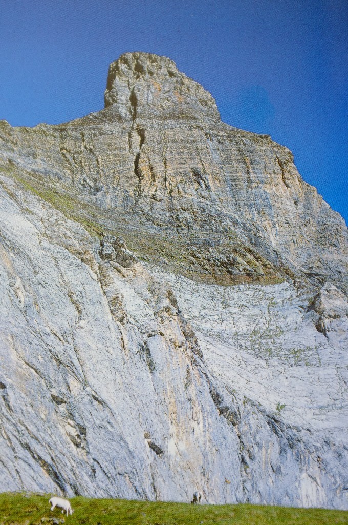 dent