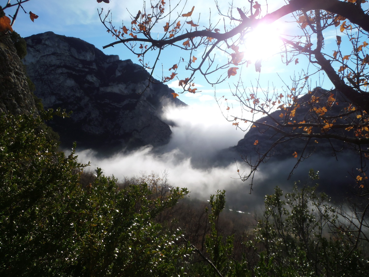 Brouillard au pas de l'Estang (Saoû)