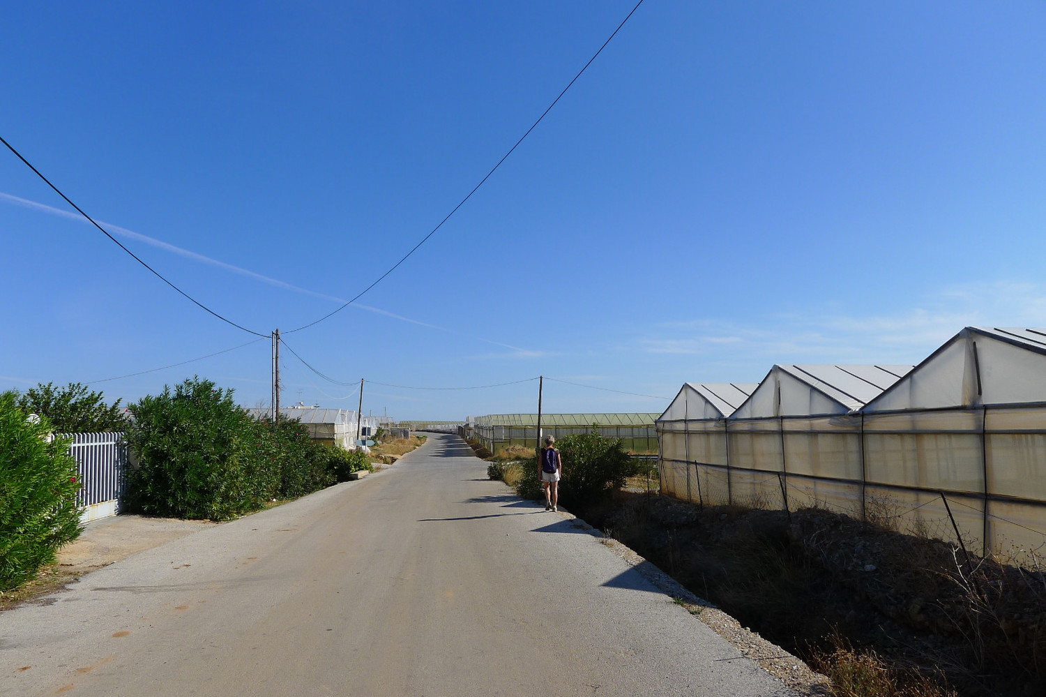 les serres avant le départ du sentier