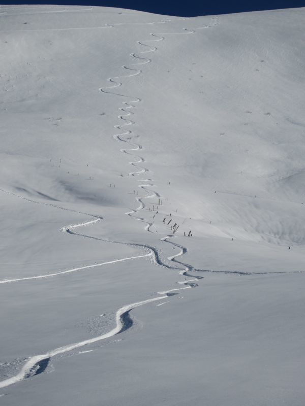 Ô.. une trace..