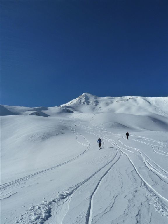 plus bas dans les champs de poudre