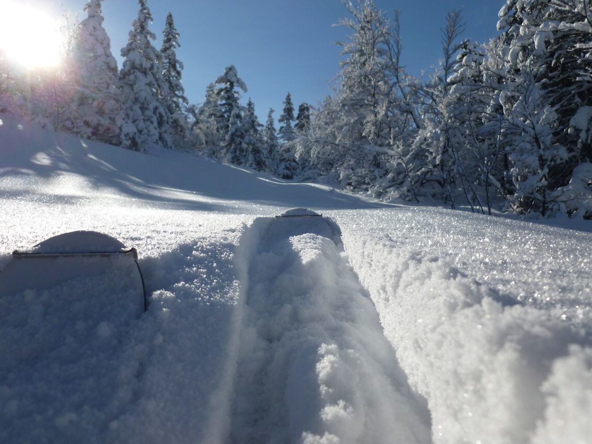 poudre et soleil