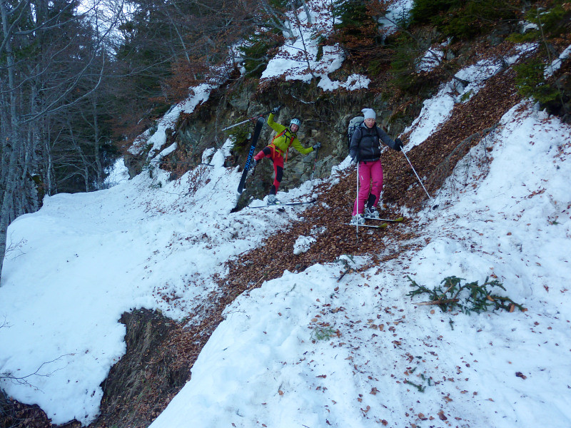 Traversée de coulée de feuilles