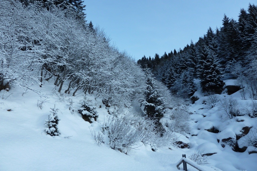 Neve appena caduta m. 1550