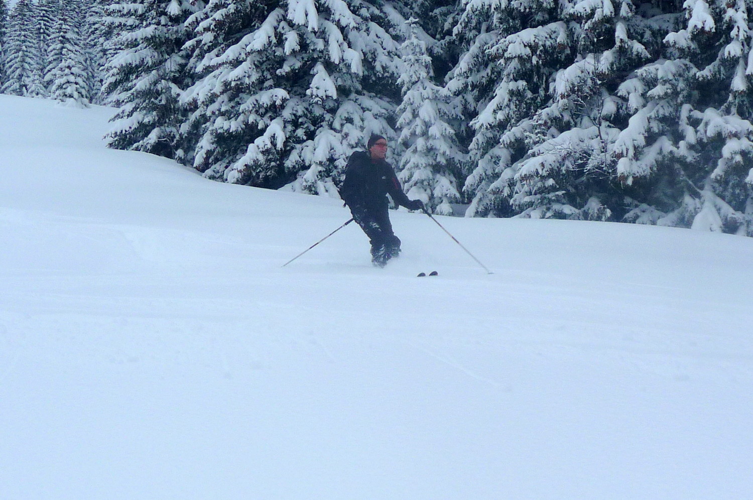 descente ds la poudreuse