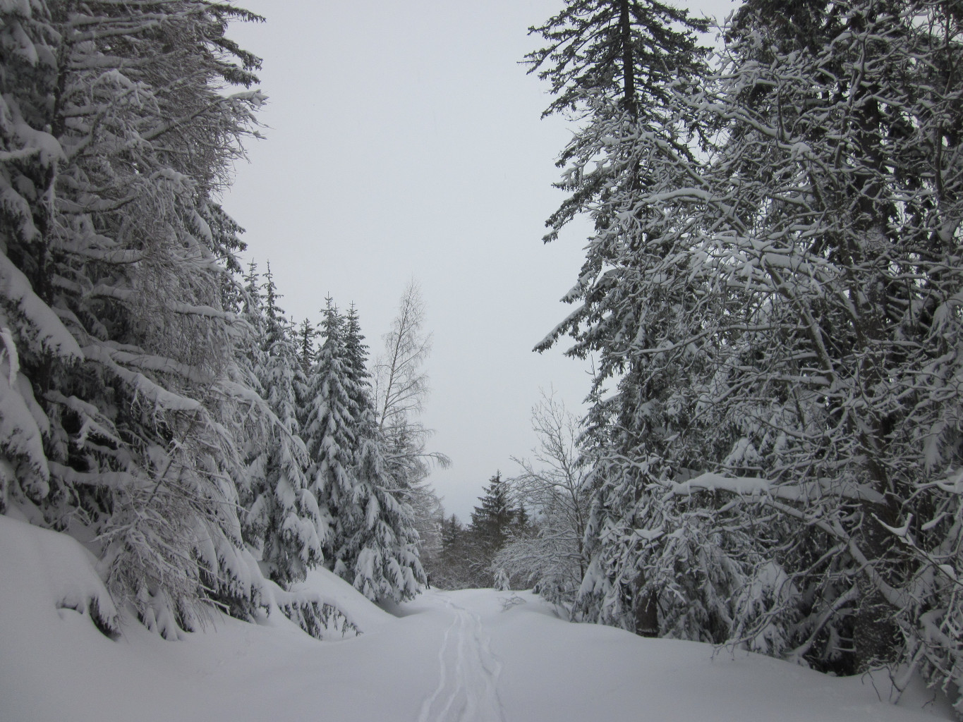 Descente sur Guttet