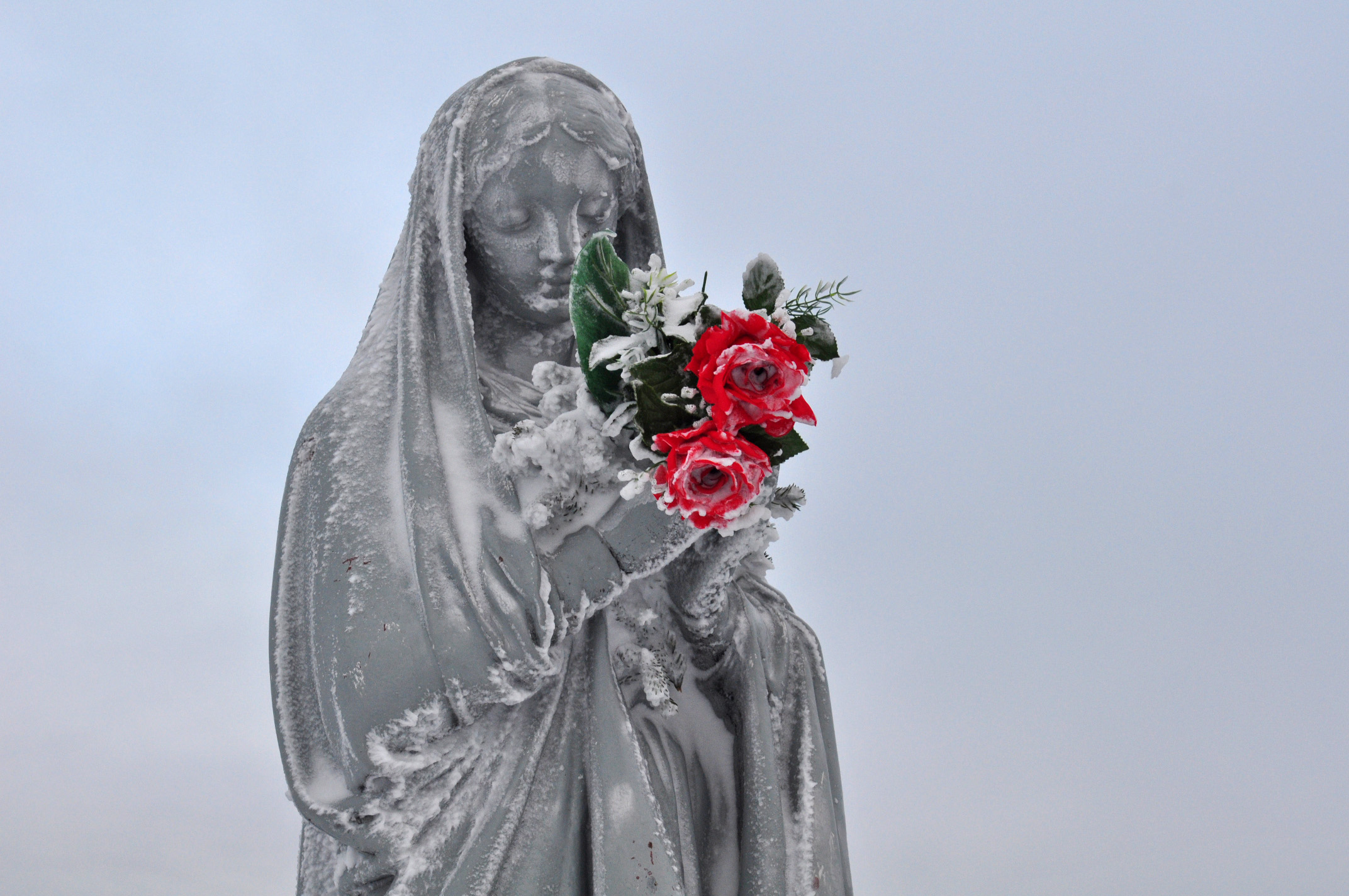la Vierge aux roses rouges
