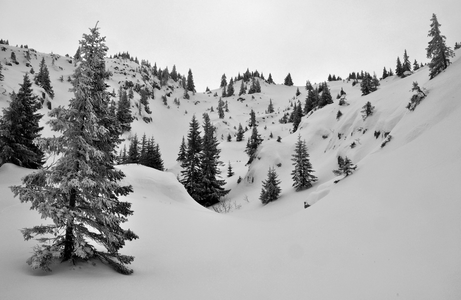 les vallons de Leschaux