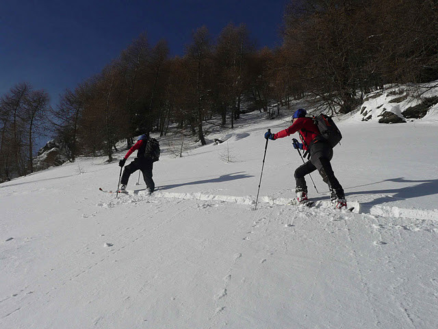 alla fine del bosco