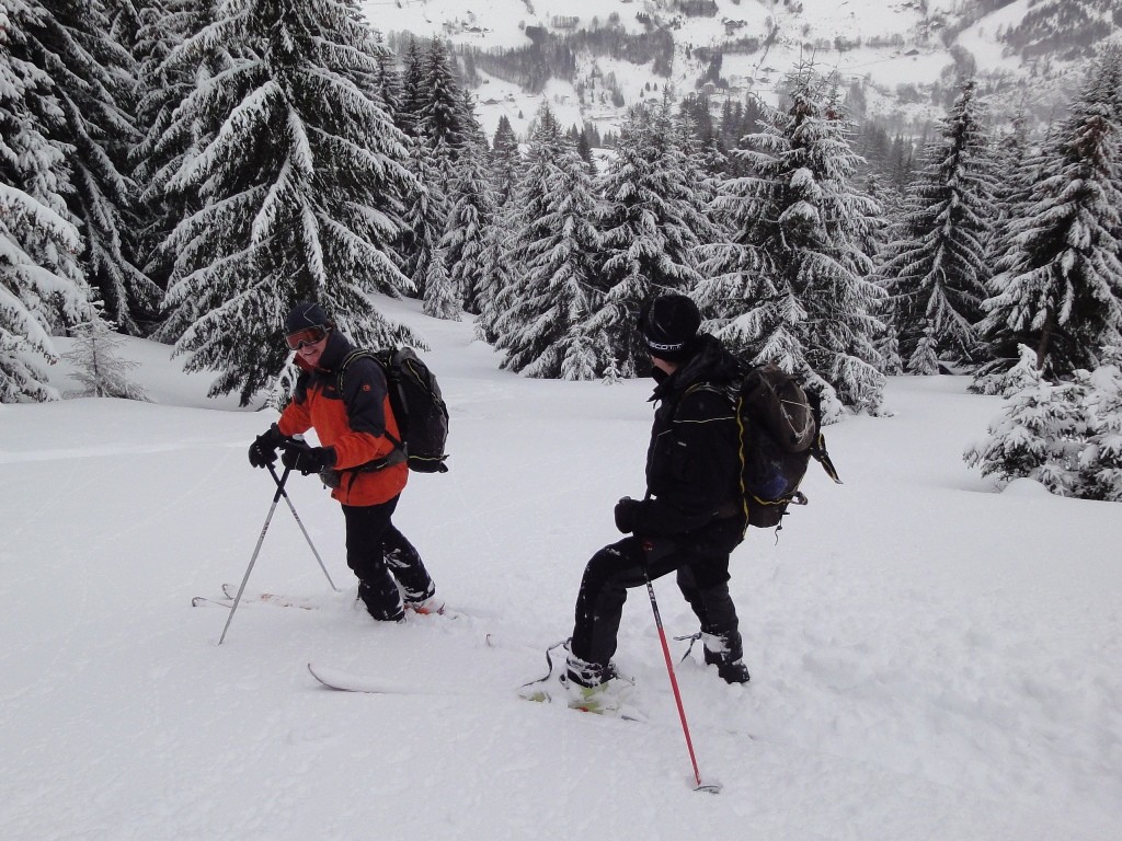Jolie descente entre les sapins