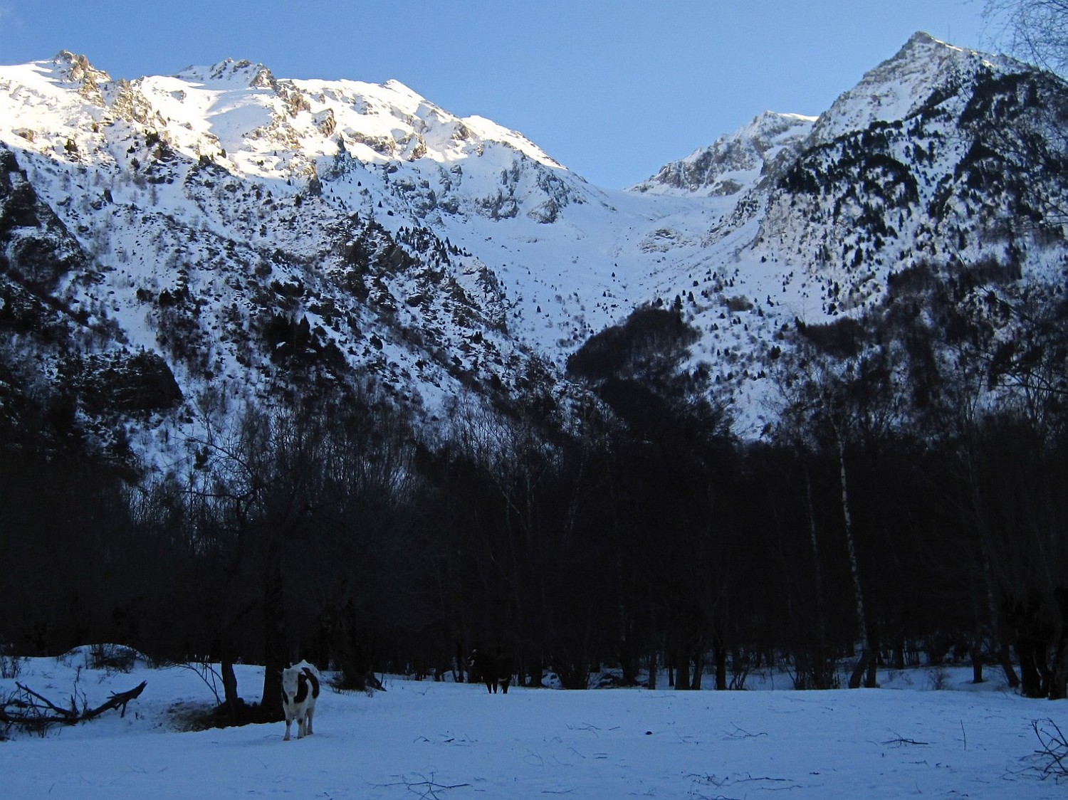 Grand Vent, Col de la Baisse, Combe Fourane depuis les granges du Rif Bruyant