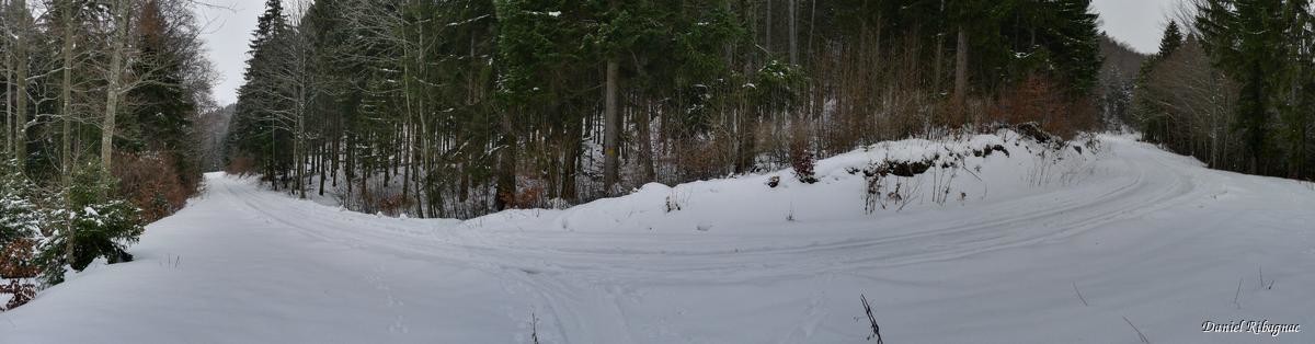 Montée par le chemin d'été qui coupe plusieurs fois la route