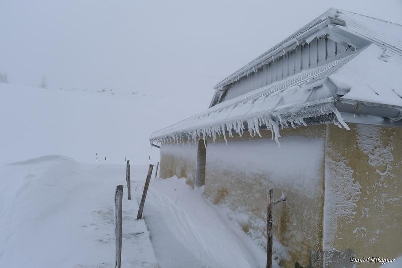 La buvette du Chalet du Mont-Tendre