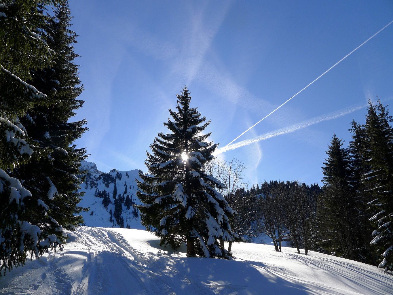 Plateau de Pététoz