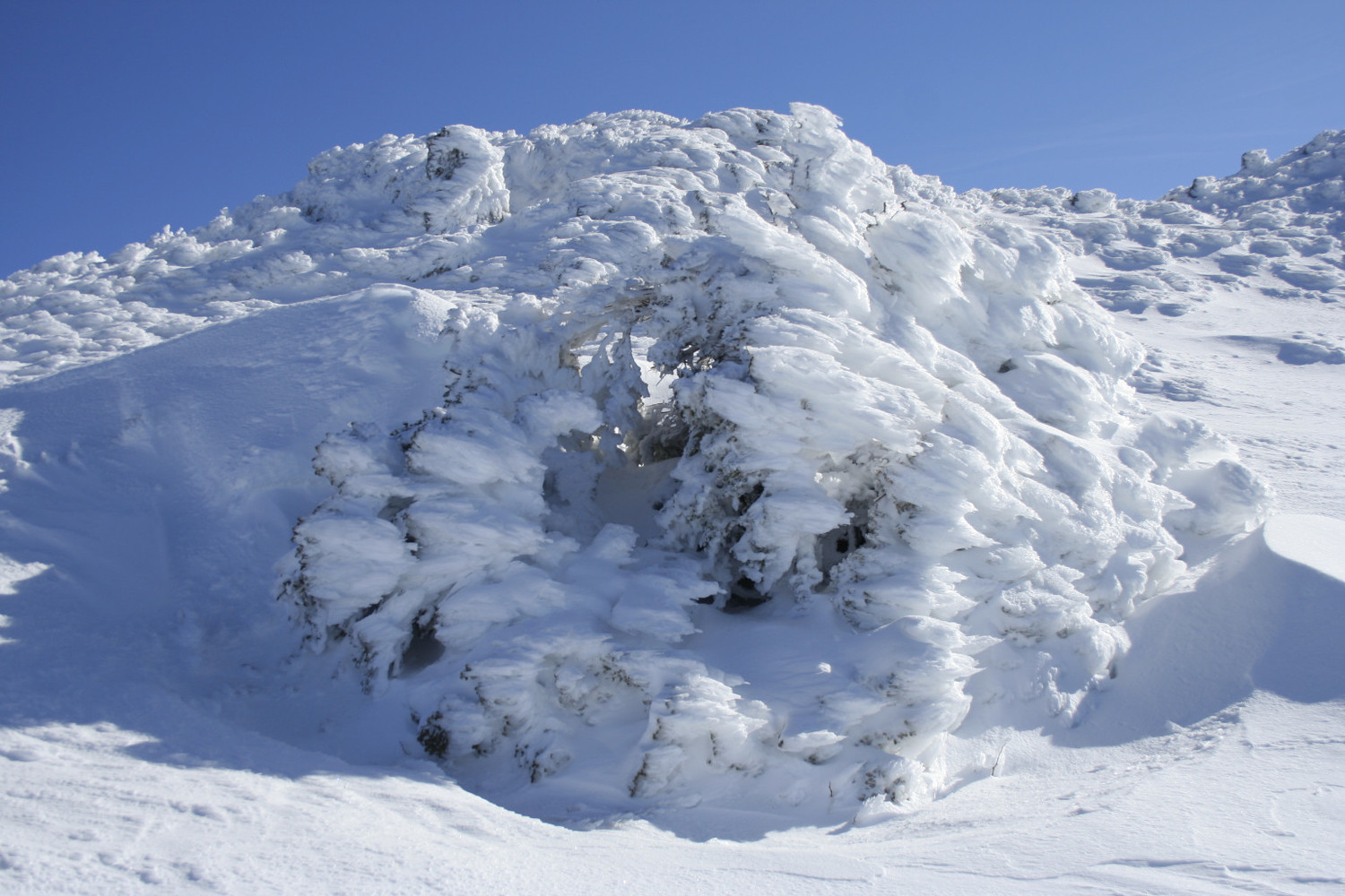 Sculptures du vent