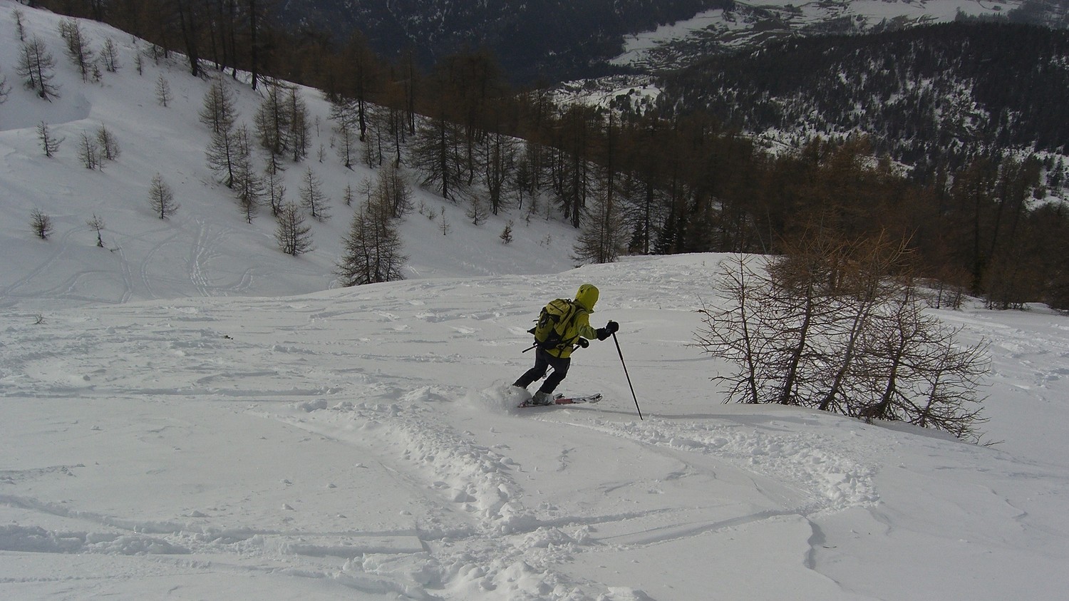 Zerbion - Bon ski dans les mélèzes