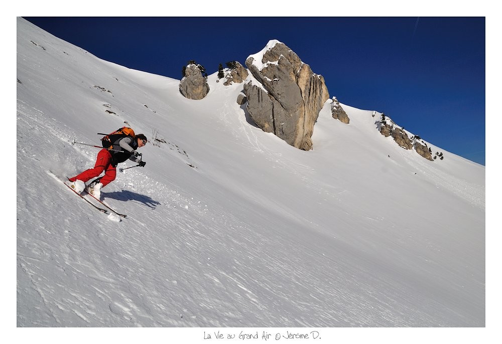 Delle fait parler les powders