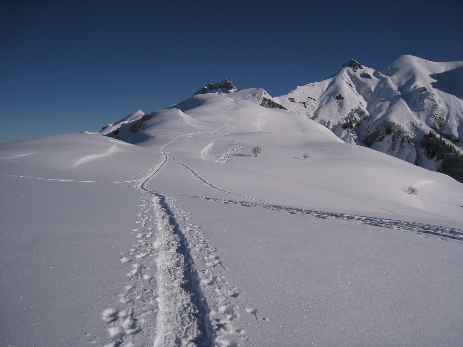 Tre-la-Tanne : Plan Limace