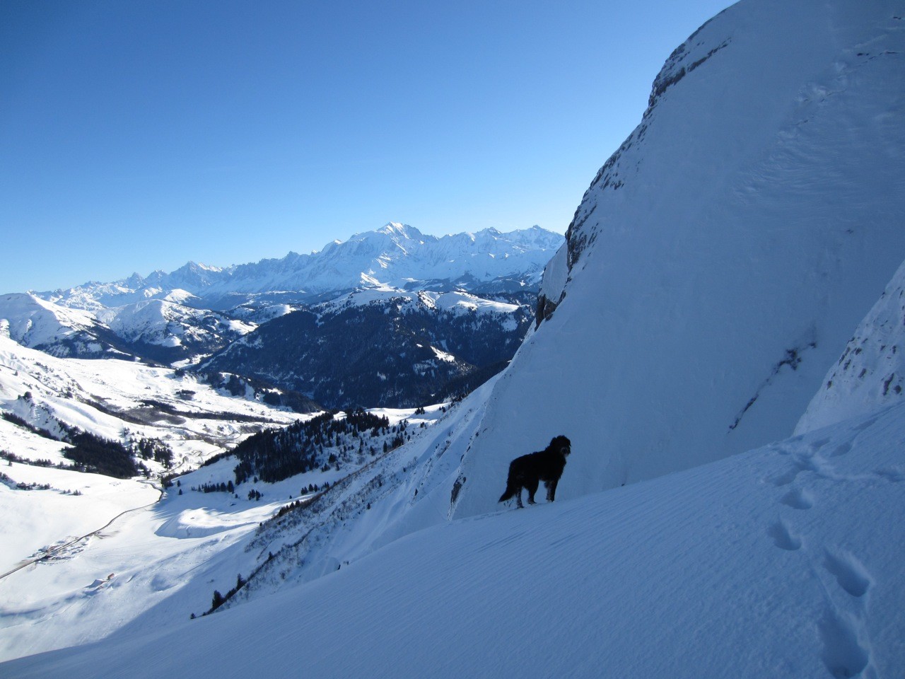 Fidji découvre le Mont Blanc