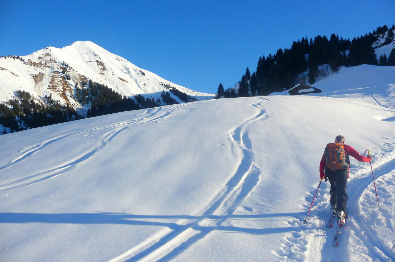 Sortie après le bois