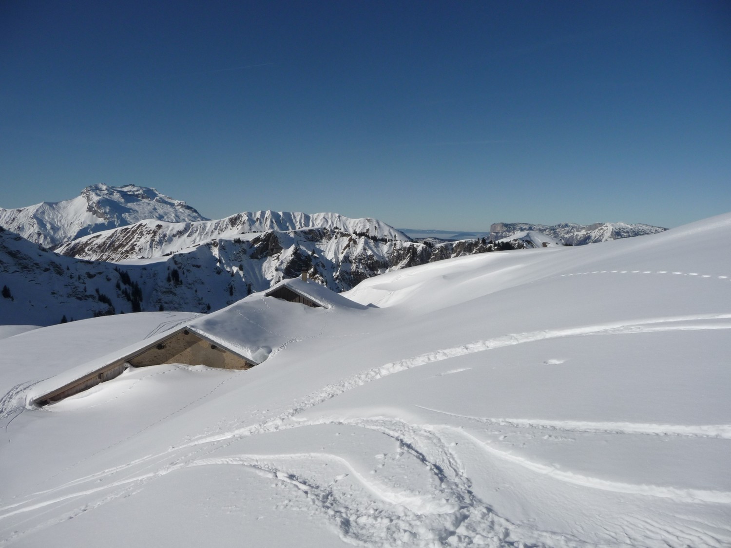 l'aulp de fier d'en haut