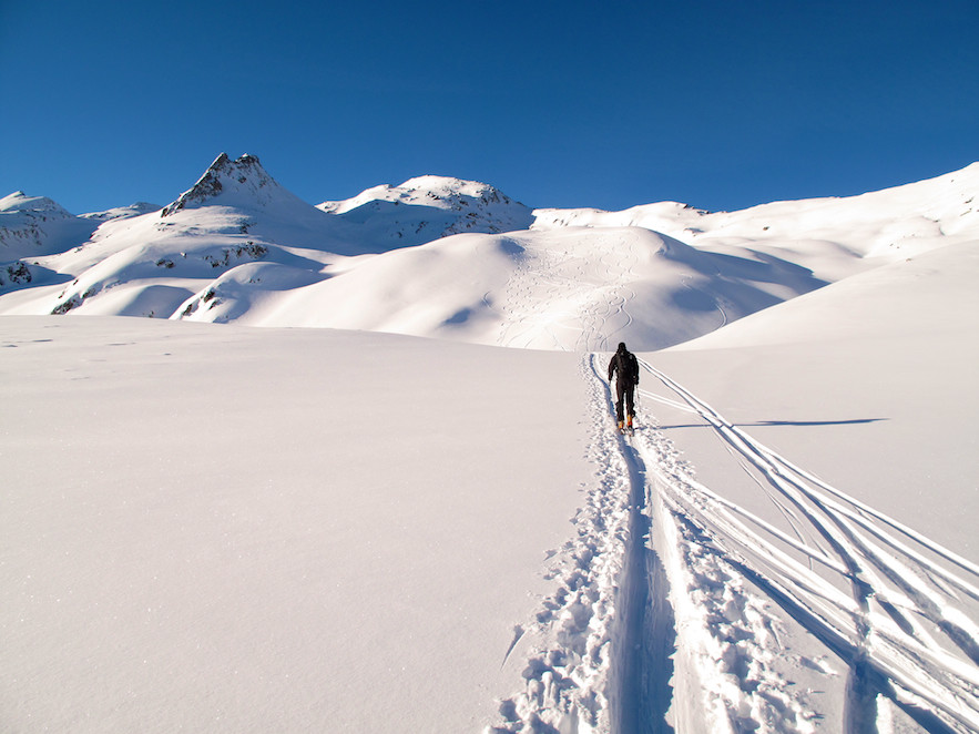 au pays de l'or blanc