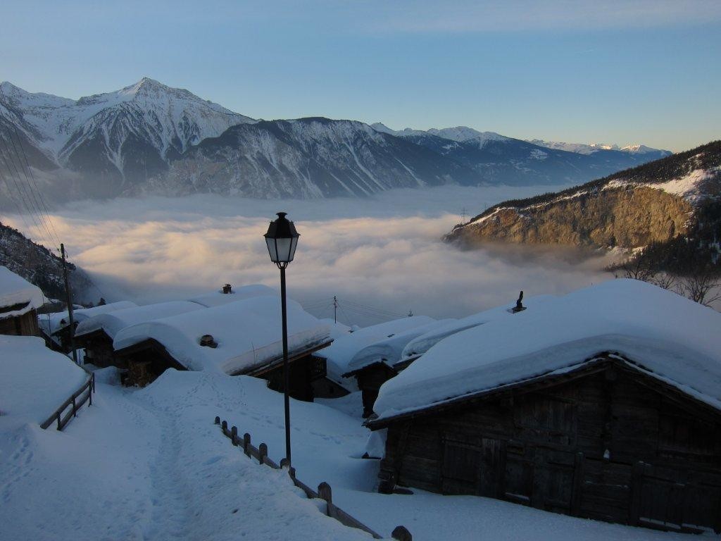 Albinen matinal