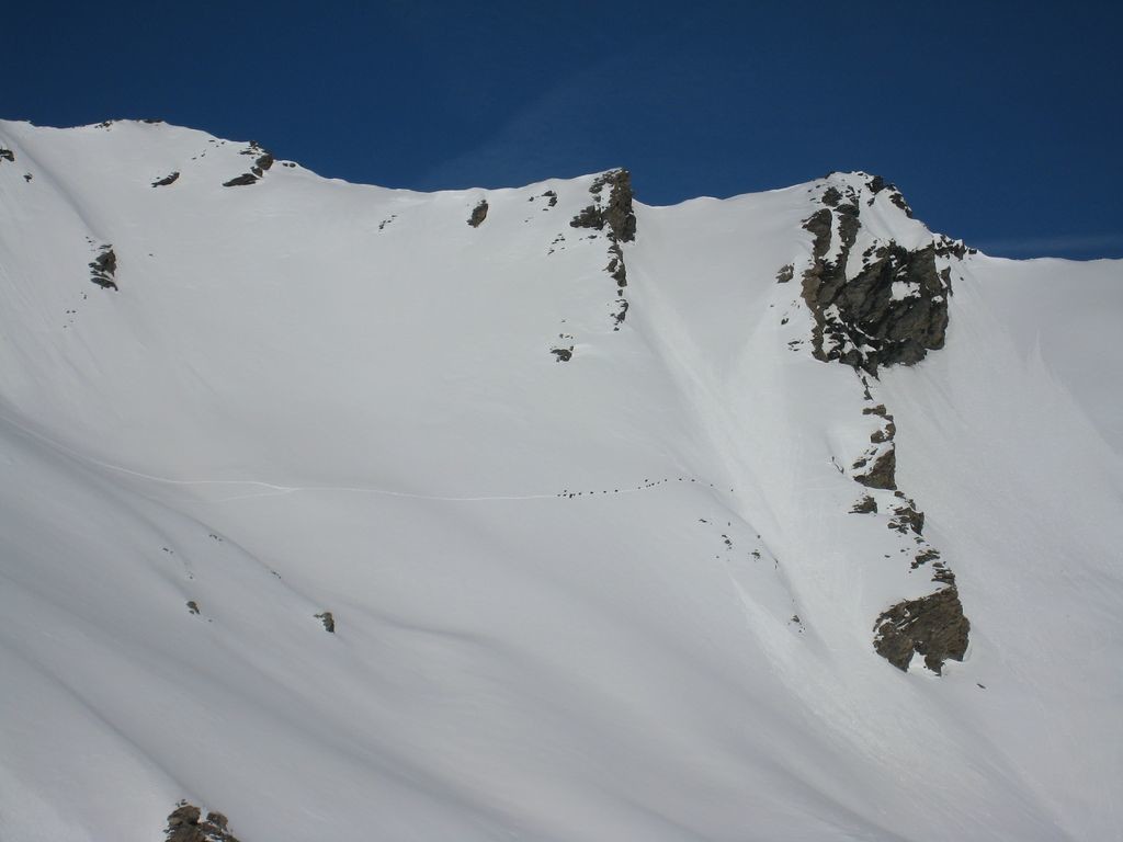 Harde de chamois sous la Pointe Paumont