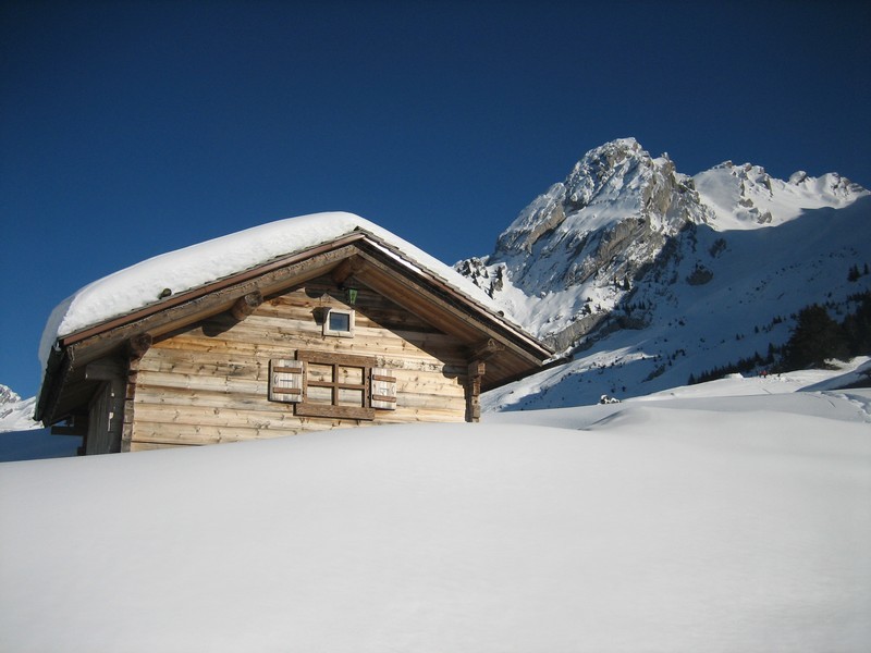 Carte postale
