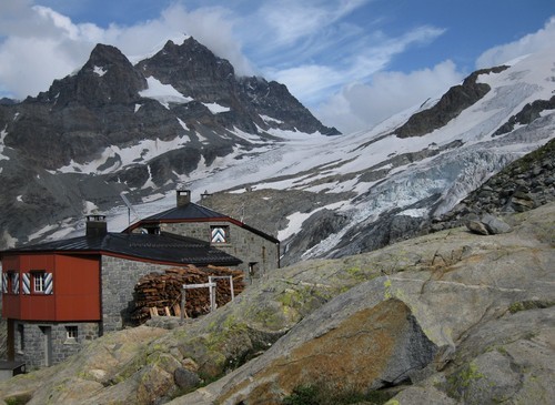 Quizz Refuge