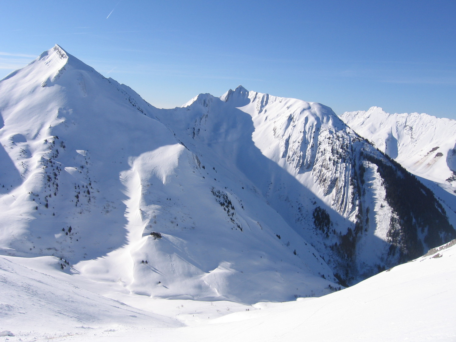 Les Arlicots