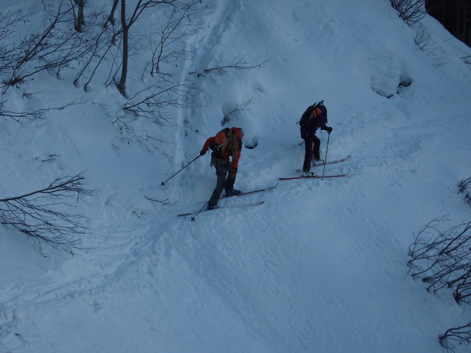 Traversée finale dans la forêt, un poil combat