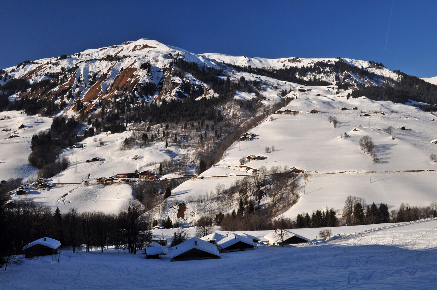 retour aux granges !