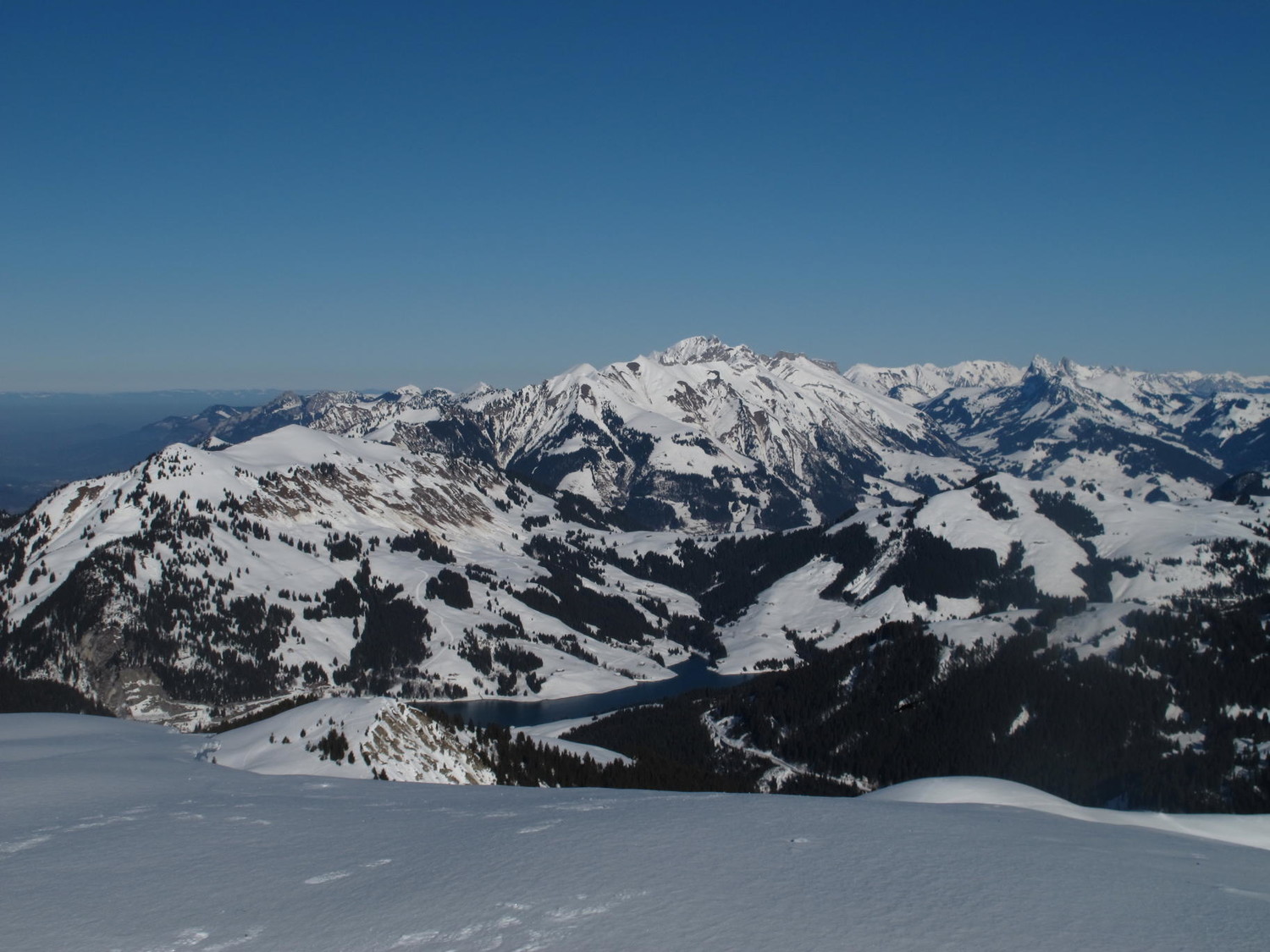 plongeon dans l'Hongrin