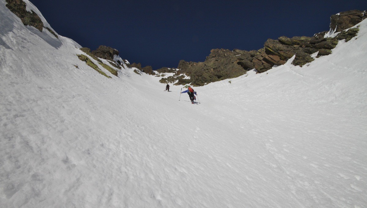 Bas de la branche sortant directement au sommet