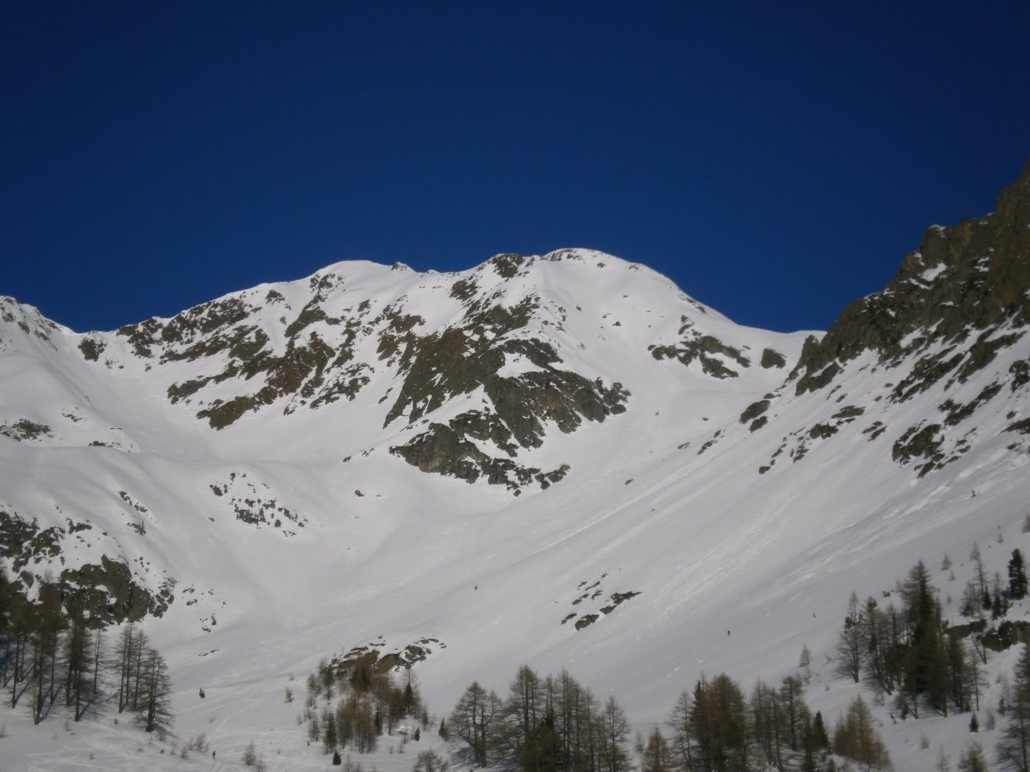 Cols de bel oiseau et fenestral
