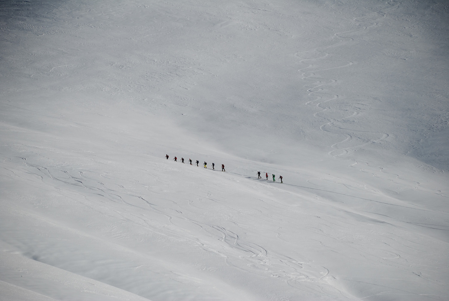 Chenille des neiges